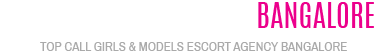 Jaipur Escorts escortsvilla.in Logo